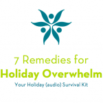 The Holiday Overwhelm Survival Kit