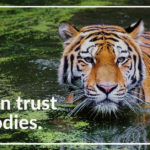 We Can Trust Our Bodies